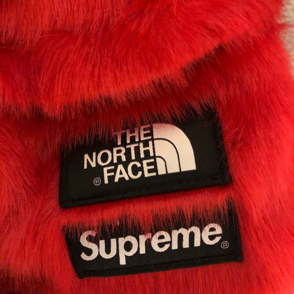 Supreme North face faux fur backpack - Picture 2 of 3